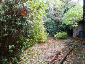 Norwich Student Accommodation - Flat Shared garden